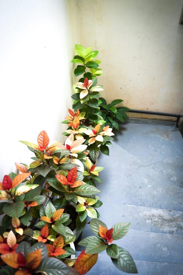 The Bbc Cheliyan Villa Kandy Ngoại thất bức ảnh